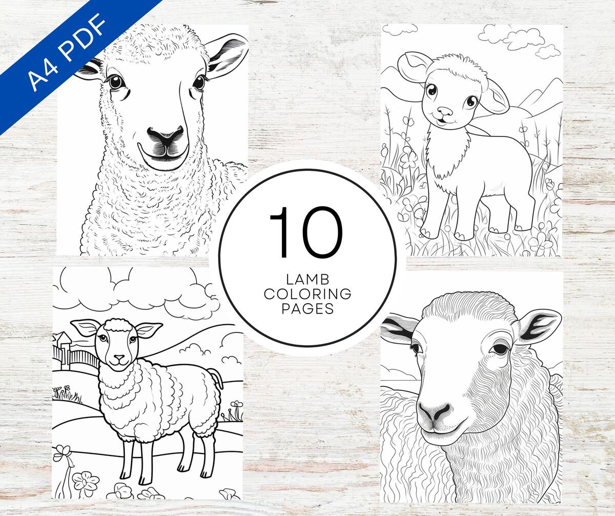 10 Lamb Coloring Pages Printable PDF A4 Farm Animal Coloring Sheets For Kids Adults Stress Relief And Relaxation Etsy Lamb Cut Paste Craft Printable Build A Sheep Coloring Spring Baby Farm Animals Educational Easter Model Making Cotton Wool Activity Art Etsy