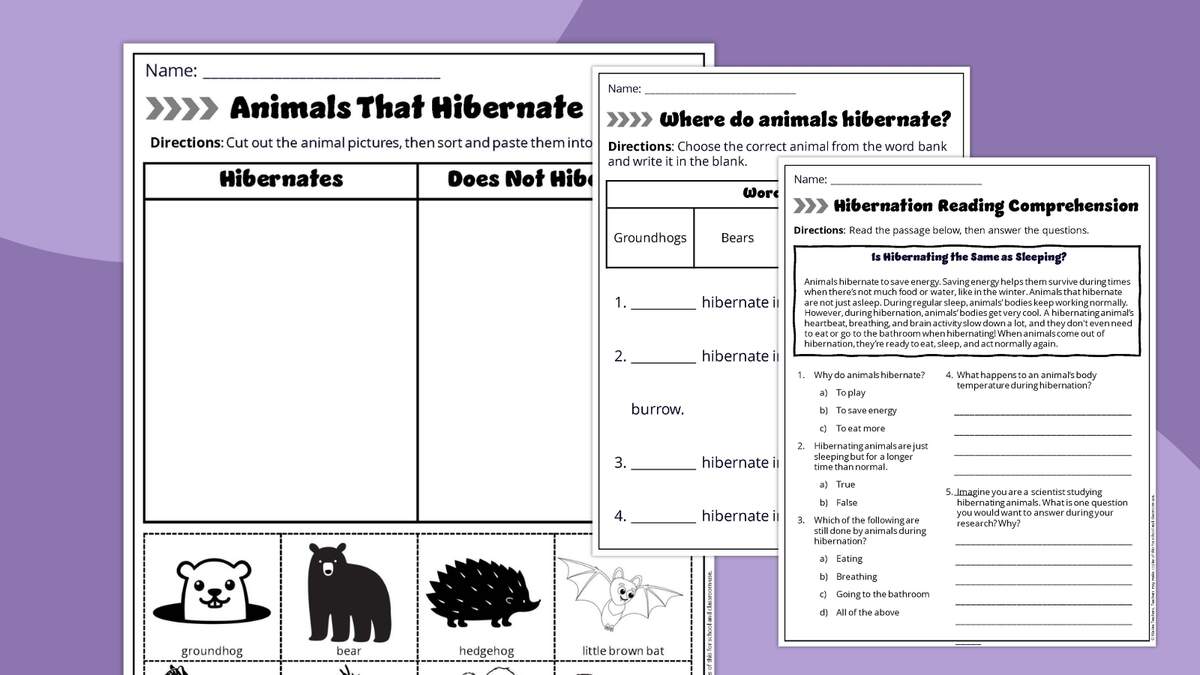 12 Animals That Hibernate Plus A Free Worksheet Bundle