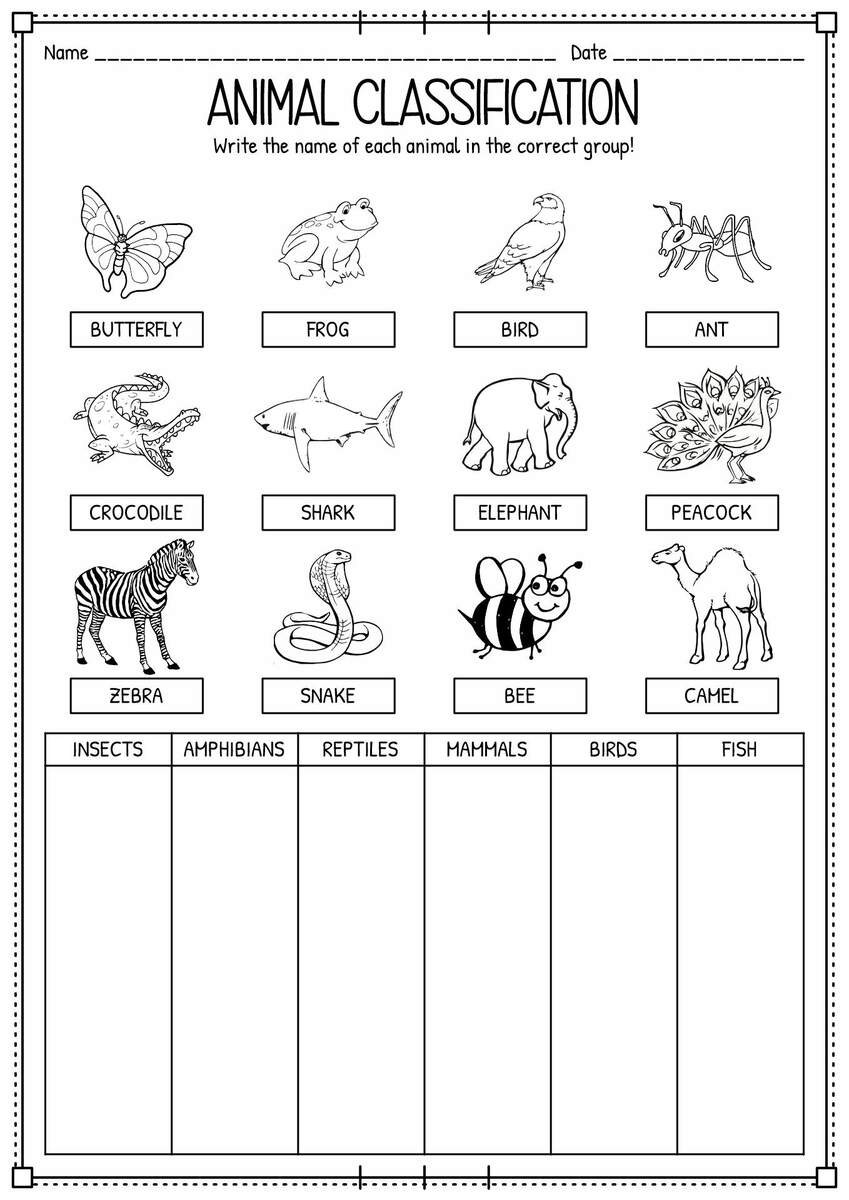 Classification Of Animals Worksheet For Grade 1 Animal Classification For Kids Made By Teachers
