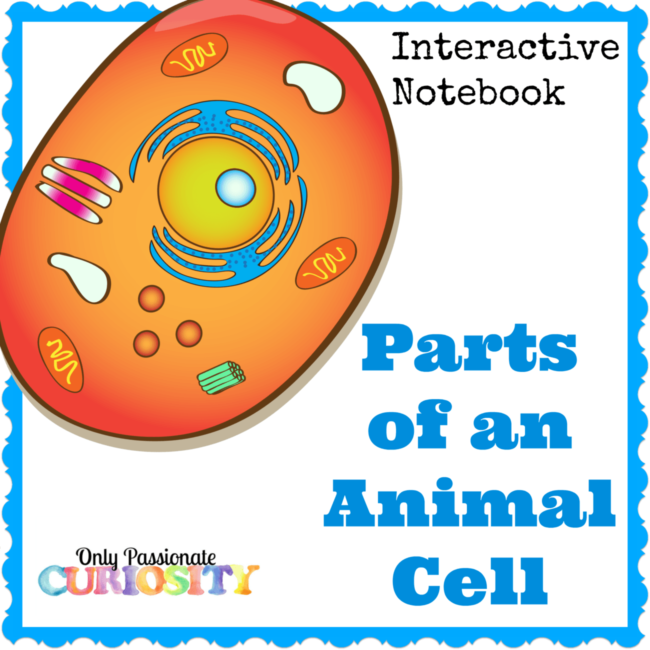Animal Cell Interactive Notebook Only Passionate Curiosity