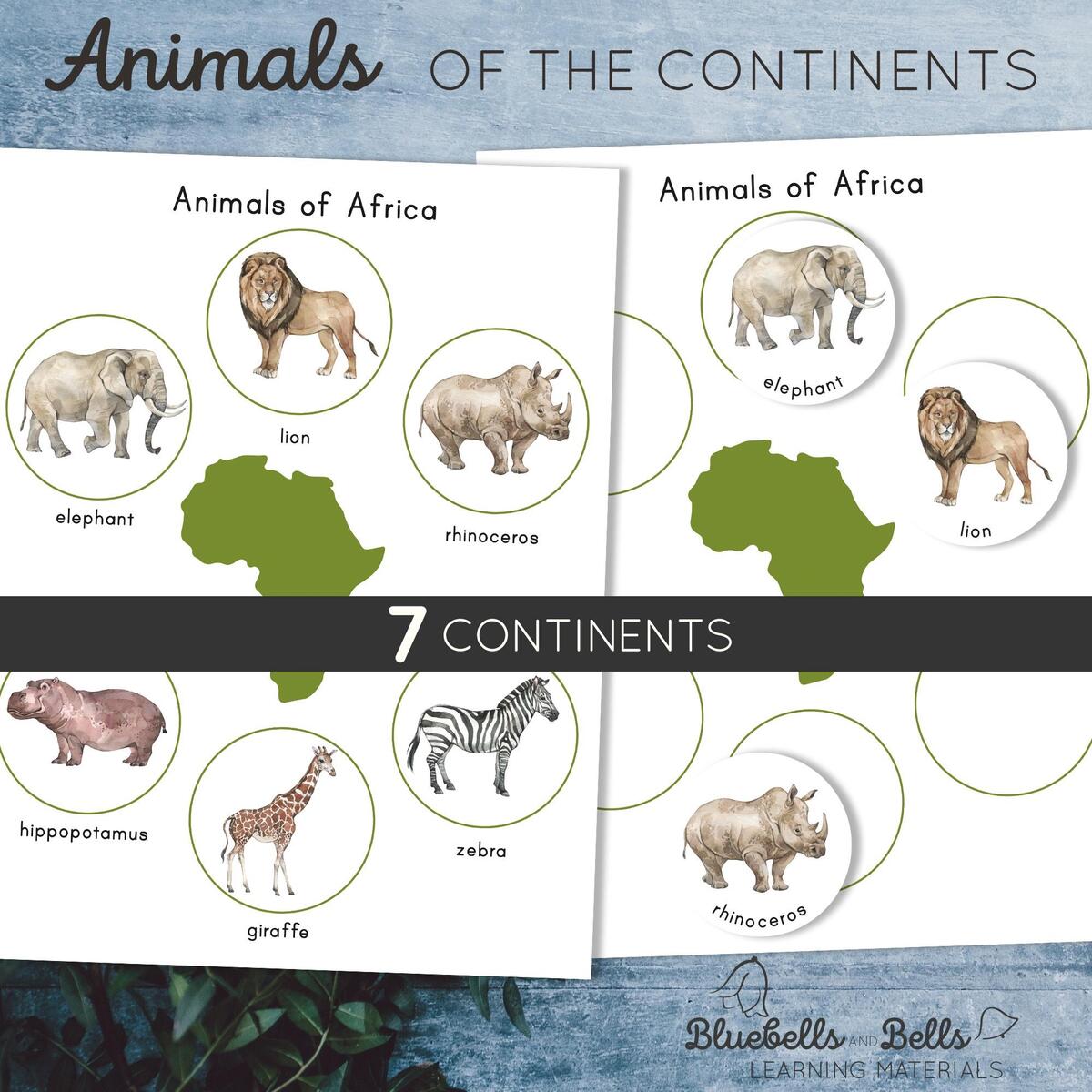 Animals Of The Continents Posters And Sorting Activity Montessori Printable Preschool And Kindergarten Geography Game Etsy Animals Of The World Coloring Pages Educational Geography Bundle PDF Download Etsy Ireland