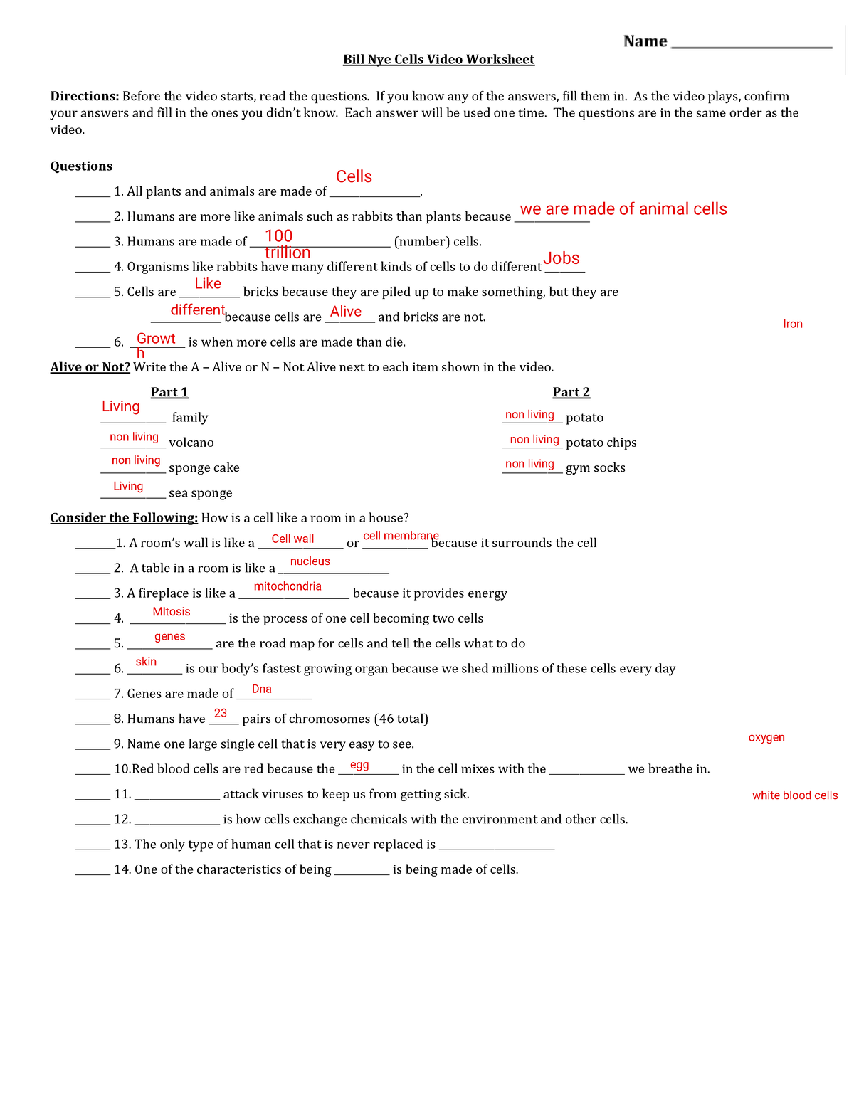 Bill Nye Cells Video Worksheet 11 12 Bill Nye Cells Video Worksheets Library Bill Nye Cells Video Worksheet 11 12 Bill Nye Cells Video Worksheets Library