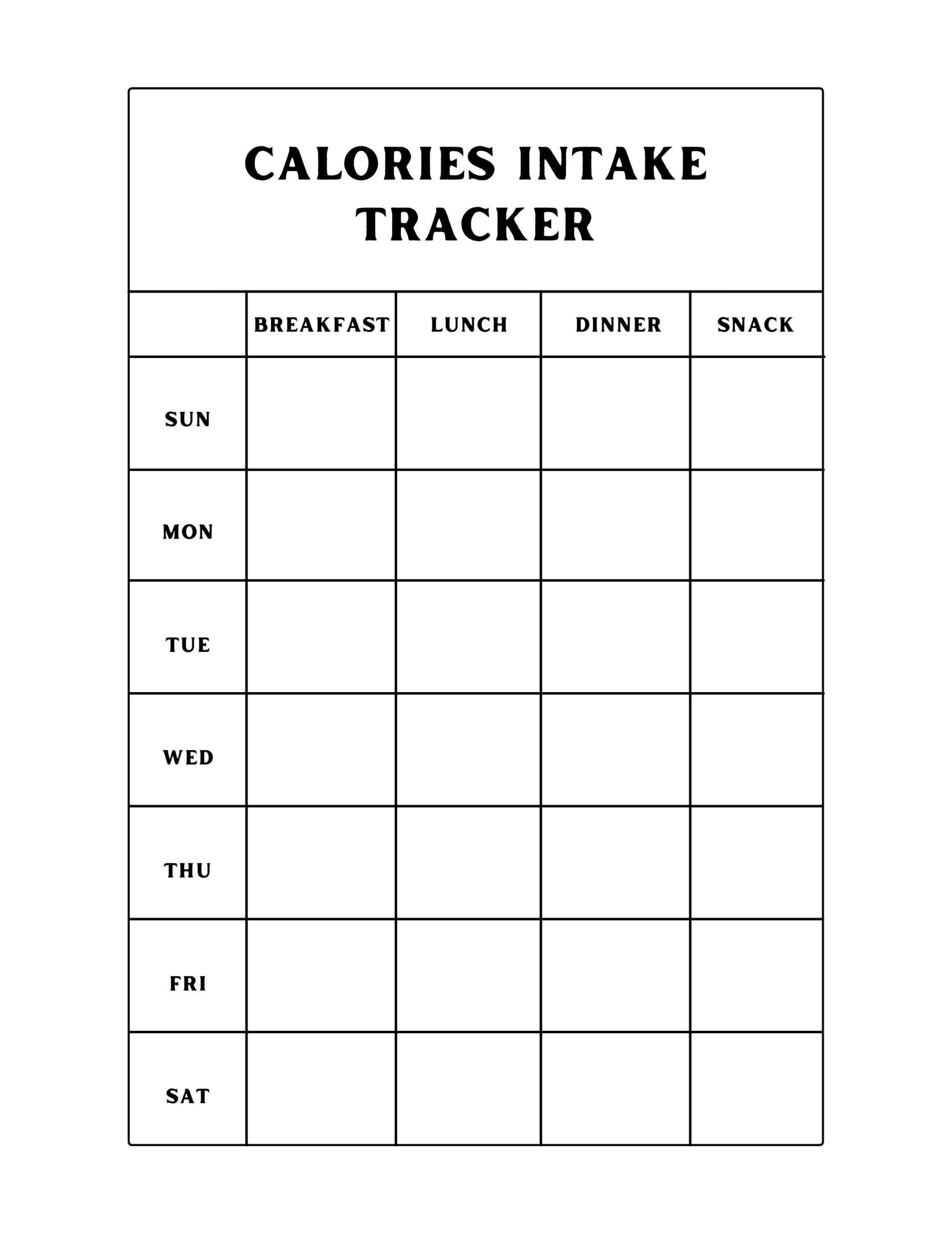 Calorie Intake Tracker Printable PDF Etsy Sweden