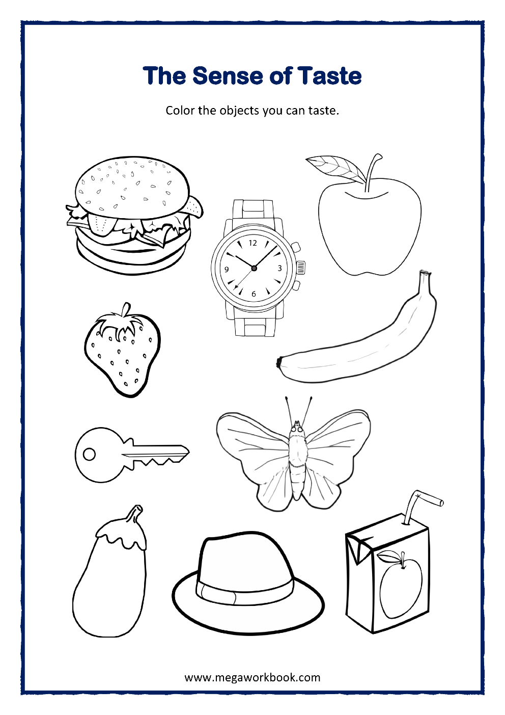 Discover 20 Science Worksheets And Activities For Kids And Five Senses Worksheet Ideas Science Worksheets Worksheets 5 Senses Worksheet And More