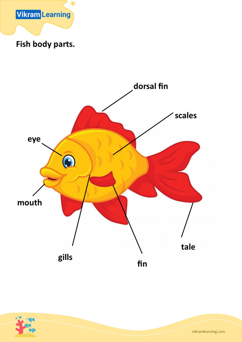 Download Water Animals Worksheets For Free Vikramlearning
