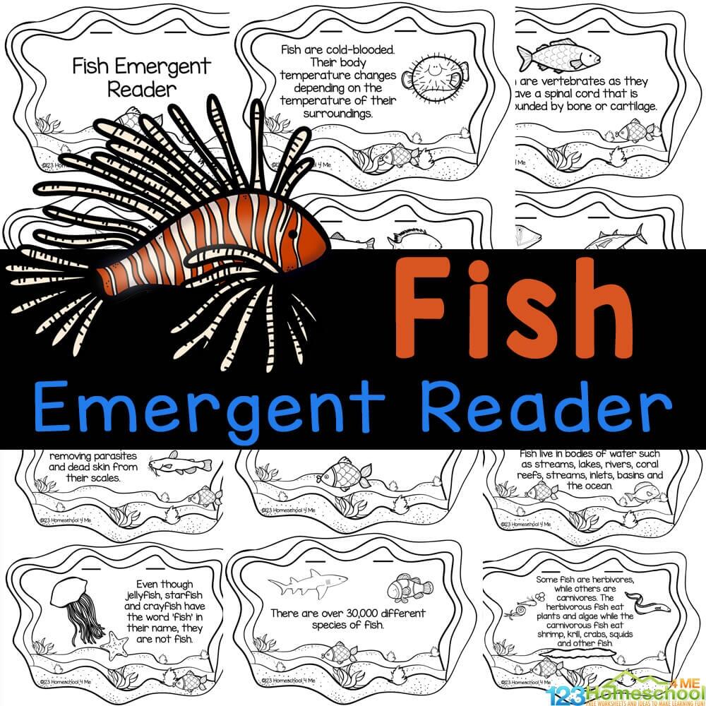 Fin Tastic Fish Facts A Color Learn Reader For Kids