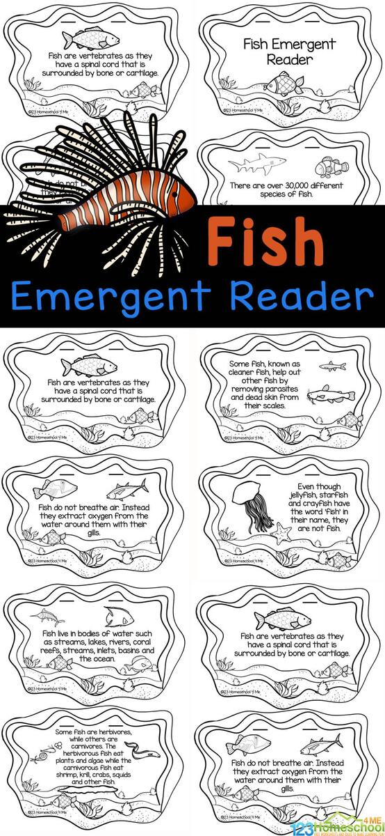 Fin tastic Fish Facts A Color Learn Reader For Kids