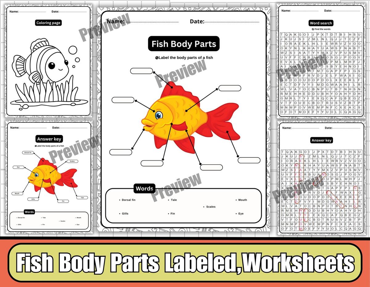 Kids Science Worksheets Parts Of A Fish Activity KiddyCharts Shop