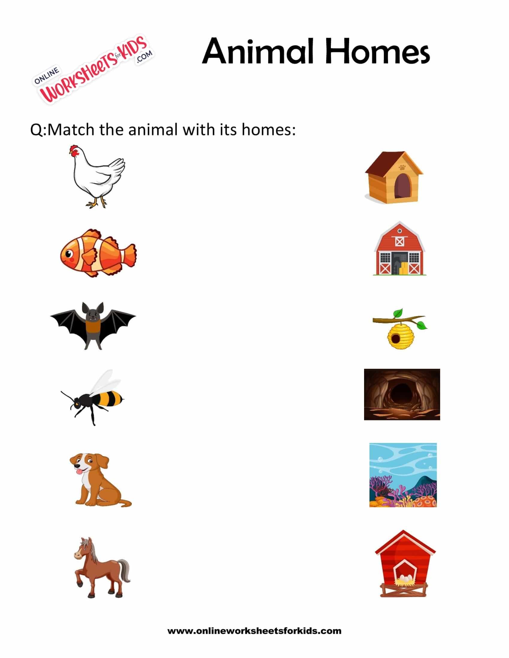 Free Animals Homes Worksheet For Grade 1 Worksheets Library