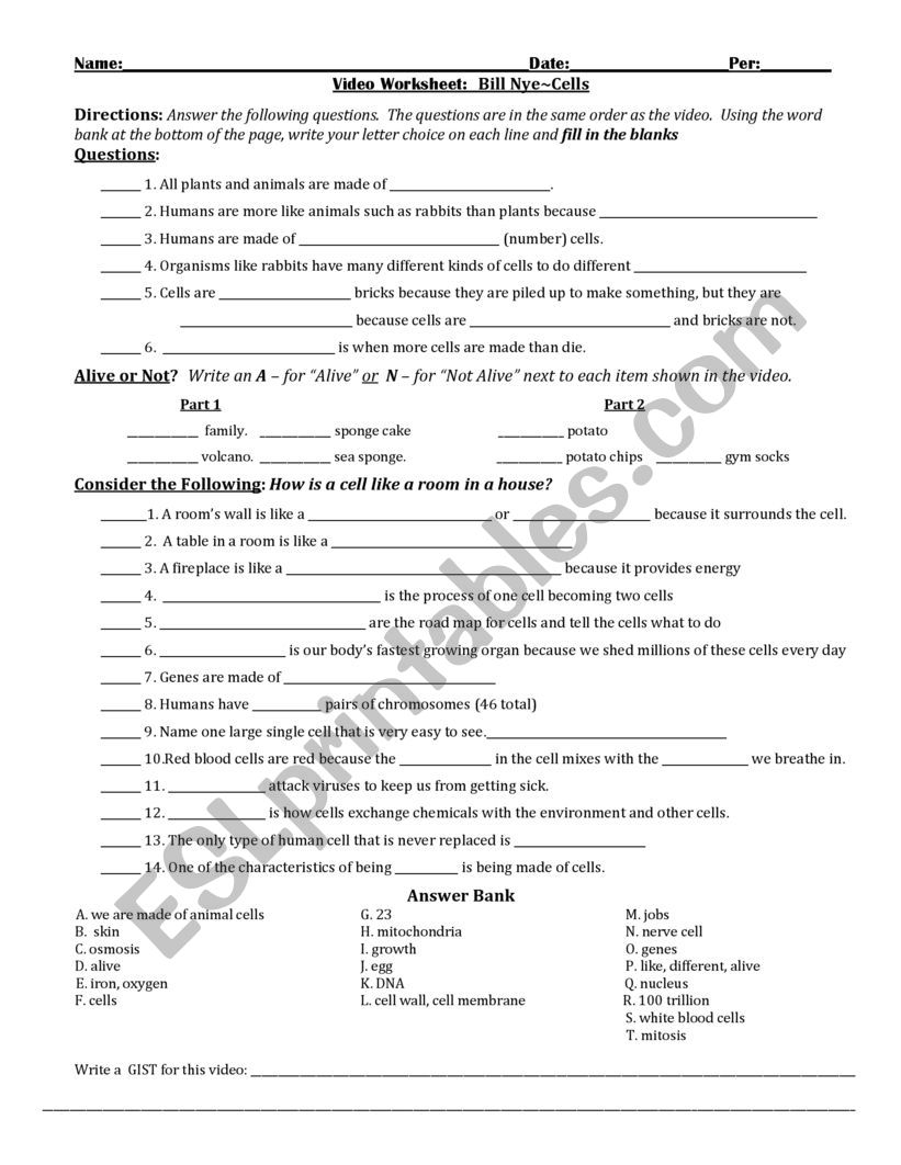 Free Bill Nye Cells Video Worksheet Download Free Bill Nye Cells Video Worksheet Png Images Free Worksheets On Clipart Library Free Bill Nye Cells Video Worksheet Download Free Bill Nye Cells Video Worksheet Png Images Free Worksheets On Clipart Library