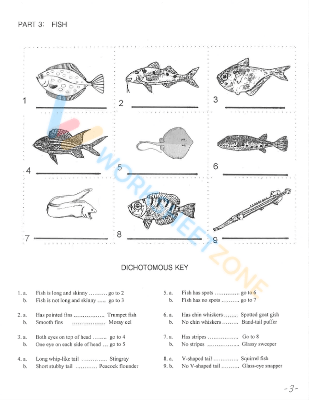 Free Printable Dichotomous Key Worksheet Collection Worksheets Library Animal Dichotomous Key Classful