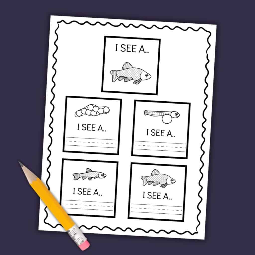 Free Printable Life Cycle Of A Fish For Kids Worksheets