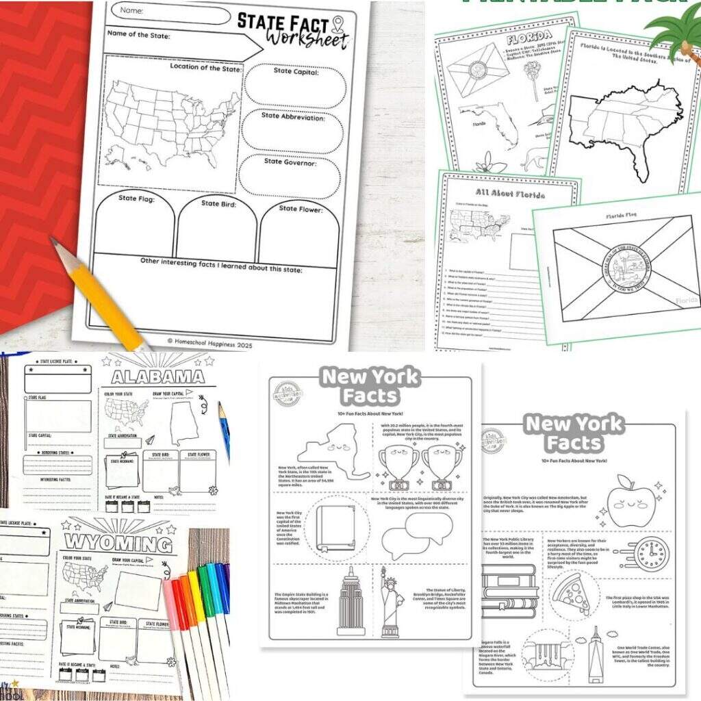 Free Printable State Facts Worksheets For Kids Free Printable State Facts Worksheets For Kids