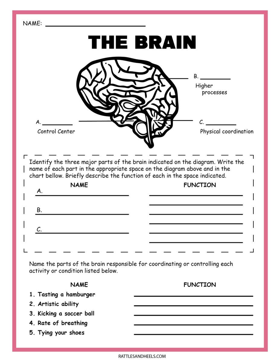 Free Free 6th Grade Science Worksheet Download Free Free 6th Grade Science Worksheet Png Images Free Worksheets On Clipart Library