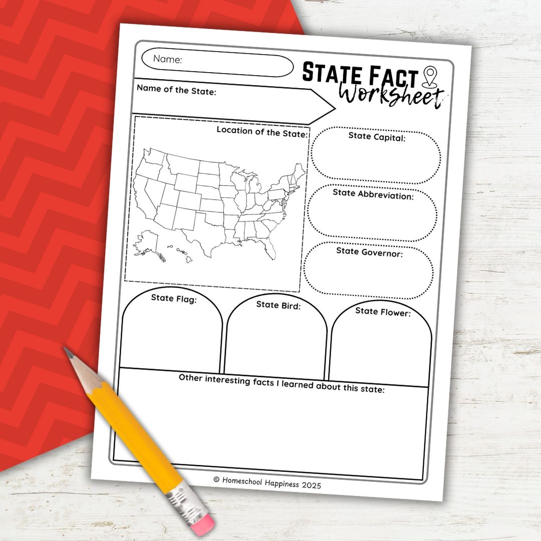 Fun Educational State Facts Worksheet For Kids Free Printable State Facts Worksheet