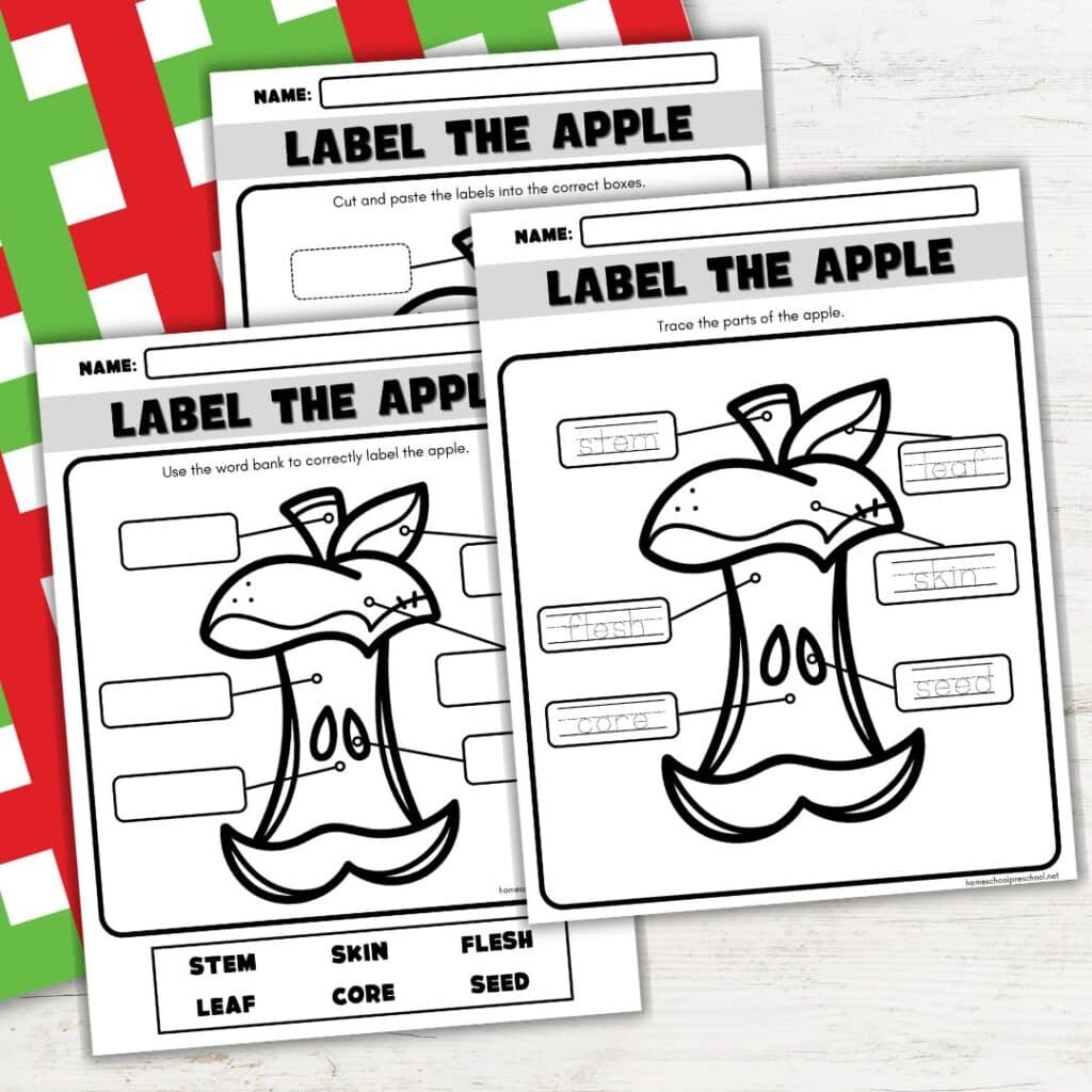 Labeling Parts Of An Apple Fun Apple Preschool Activity