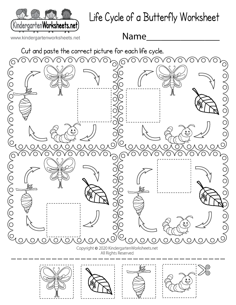 Life Cycle Of A Butterfly Worksheet Free Printable Digital PDF Life Cycle Of A Butterfly Worksheet Free Printable Digital PDF