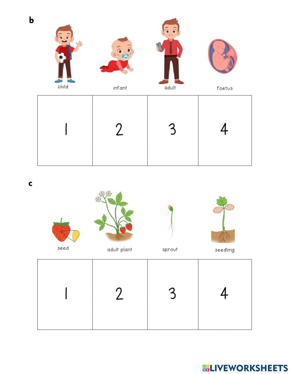 Living Things Change And Grow Worksheet Worksheets Library