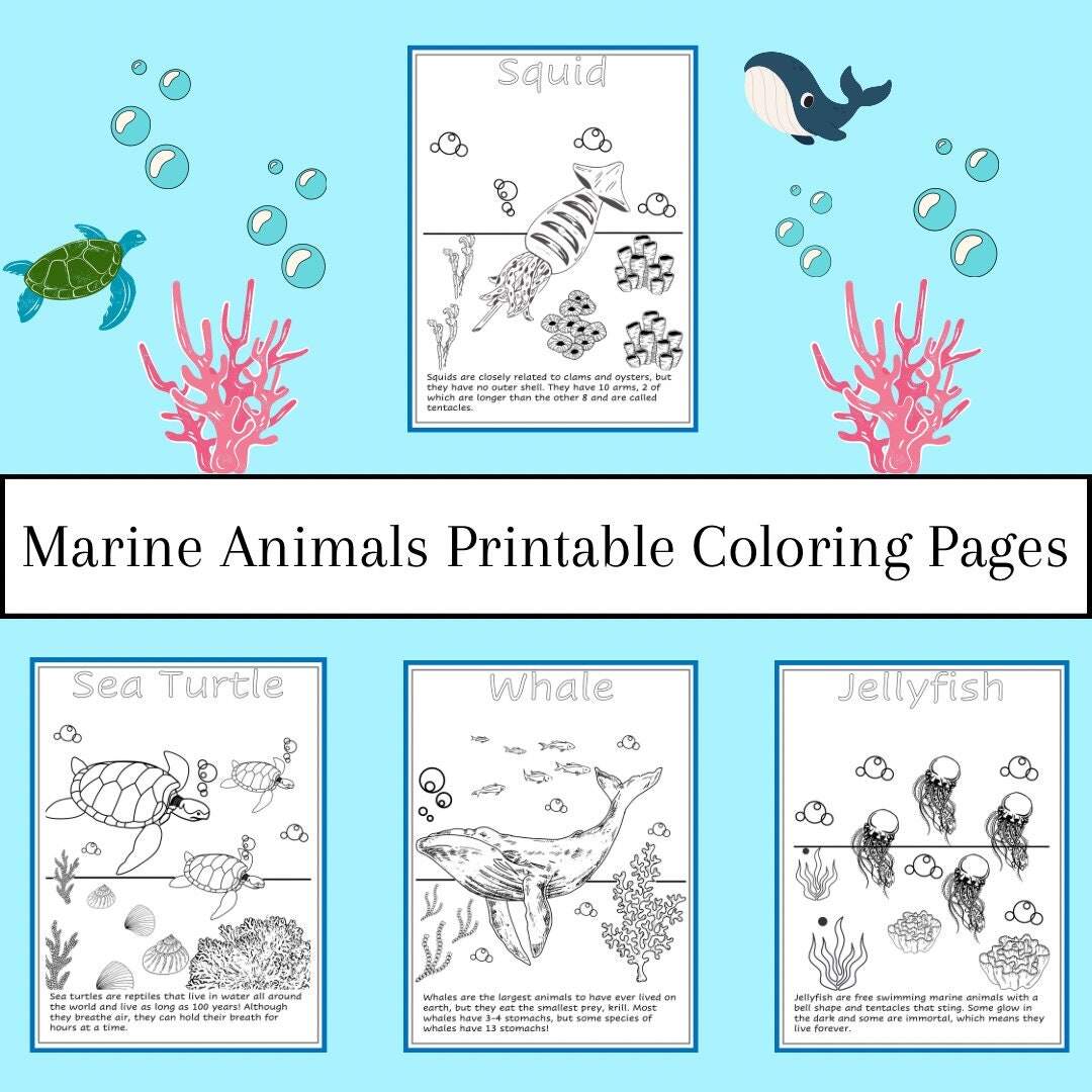 Marine Animals Printable Coloring Pages For Kids Etsy Back To School Color By Number Worksheets Free Printable Simply Full Of Delight