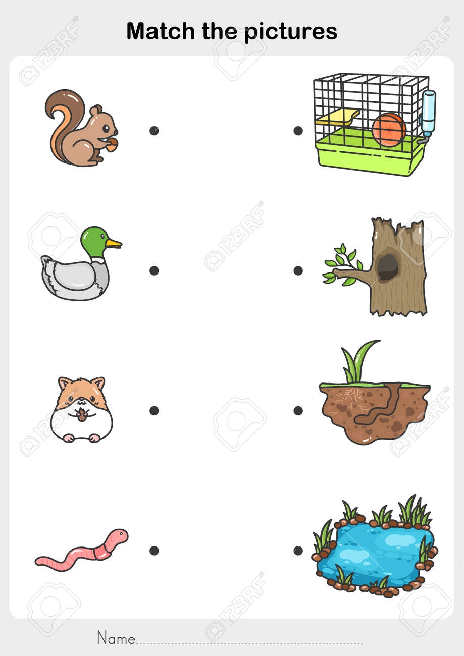 Match The Pictures Of Animal And Their Homes Printable Worksheet Flashcards For Education Royalty Free SVG Cliparts Vectors And Stock Illustration Image 156479107