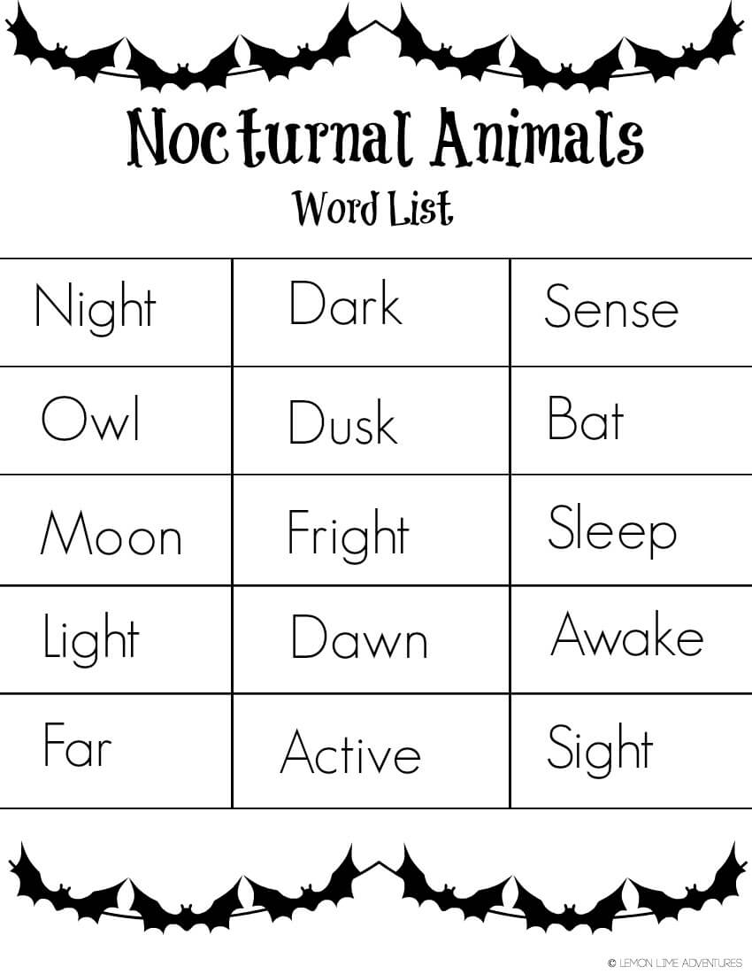 Nocturnal Animals For Kids Fun With Mama