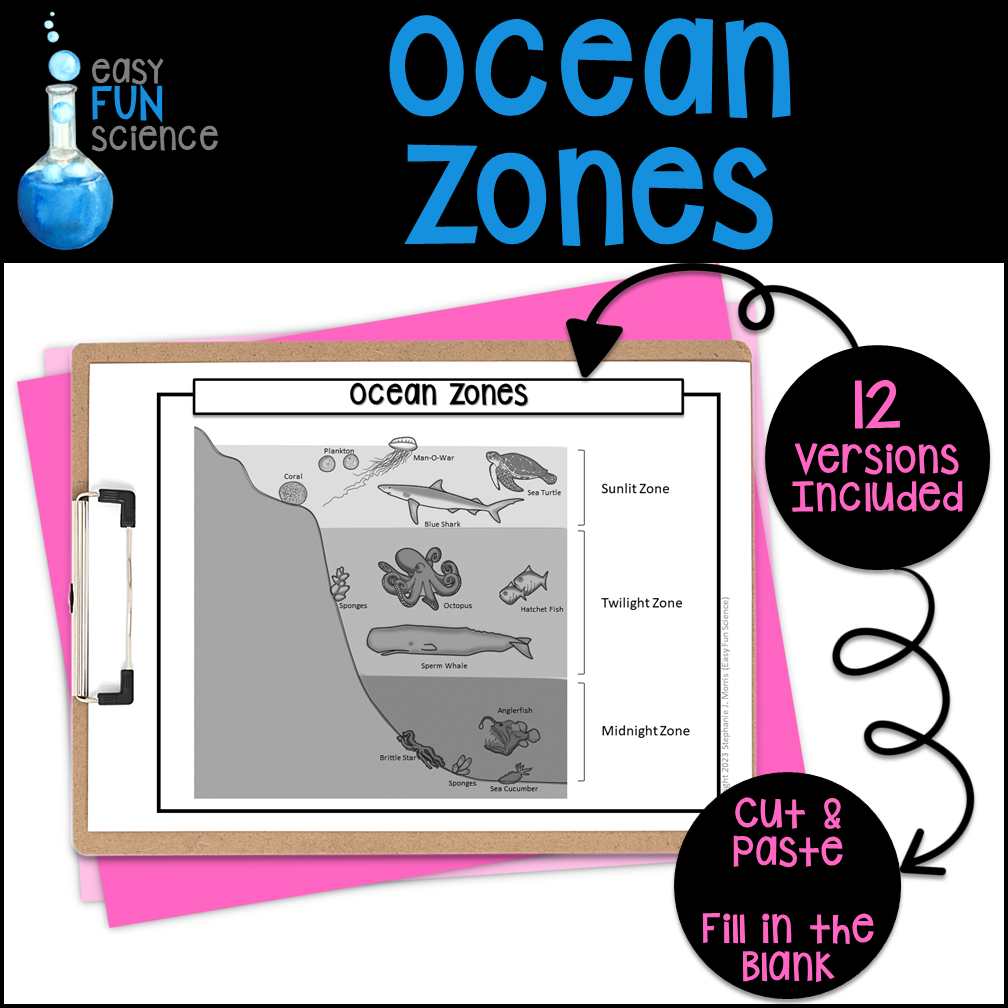 Ocean Zones Diagram Made By Teachers Ocean Zones Diagram Made By Teachers