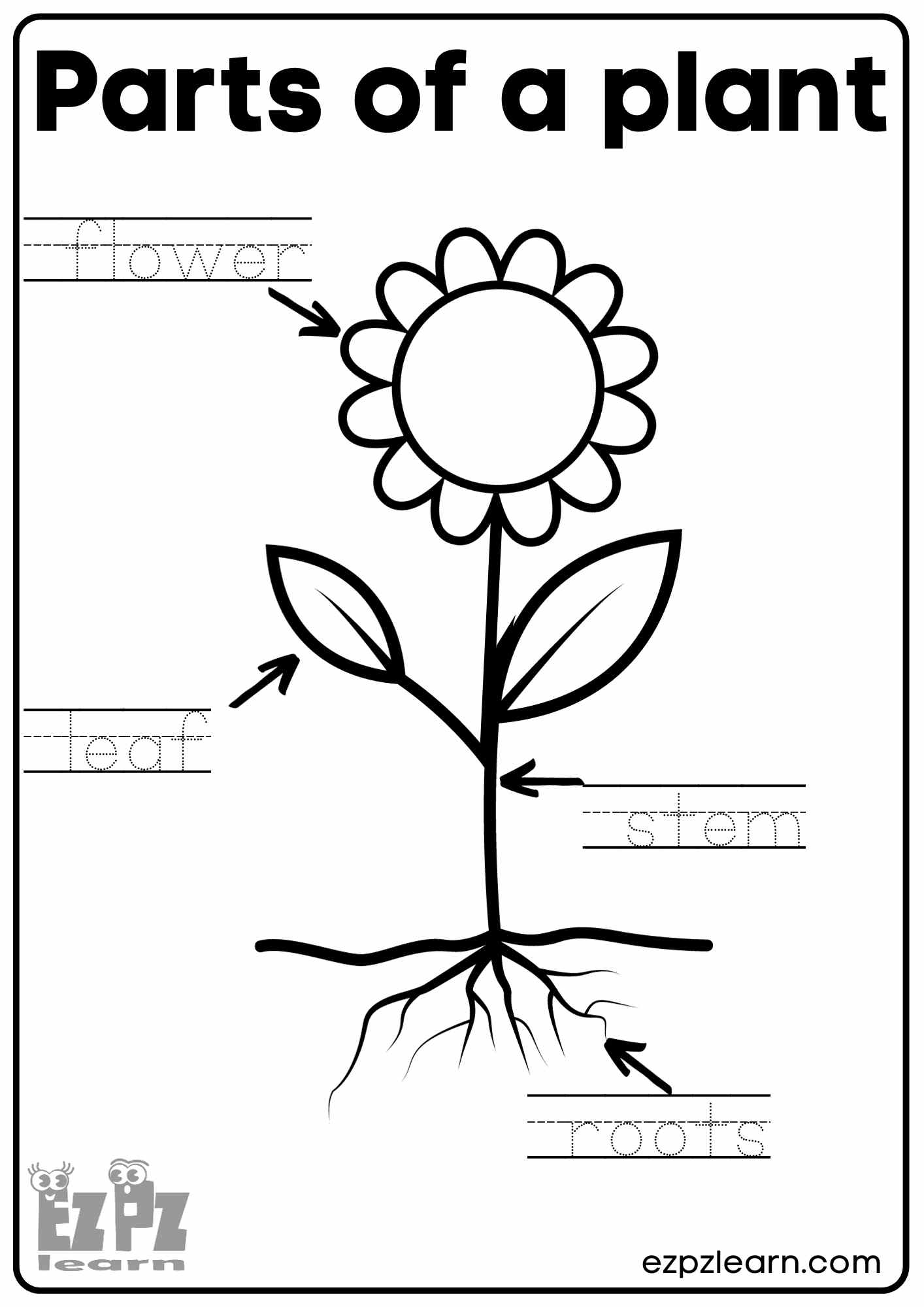 Plant Life Cycle Worksheets Free Printables For Kids Adanna Dill