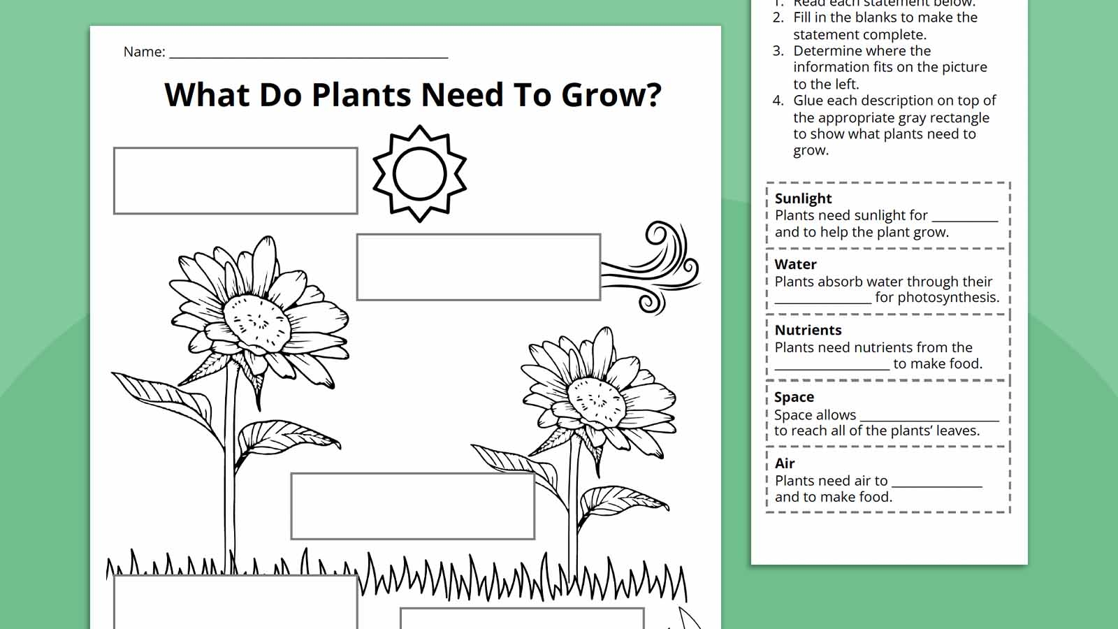Plant Life Cycle Worksheet Bundle Free Printables