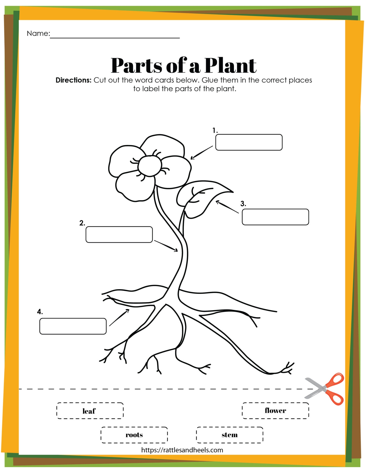 Plant Life Cycle Worksheets Free Printables For Kids Adanna Dill Parts Of A Plant Vocabulary Worksheet Write The Words And Color The Flower Activity For Kindergarten K5 And ESL Students Free Printable PDF Download Ezpzlearn