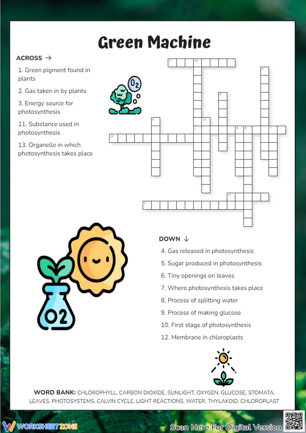 Printable 4th Grade Science Crossword Worksheets