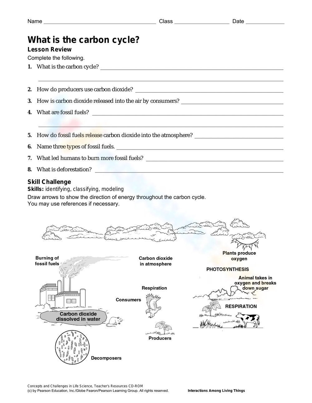 Printable 8th Grade The Carbon Cycle Worksheets Download