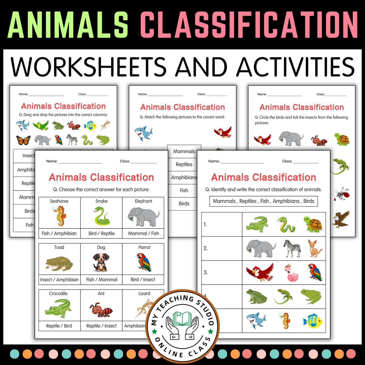 Printable Animals Classification Worksheets Animal Group Activity For Grade 2 Made By Teachers