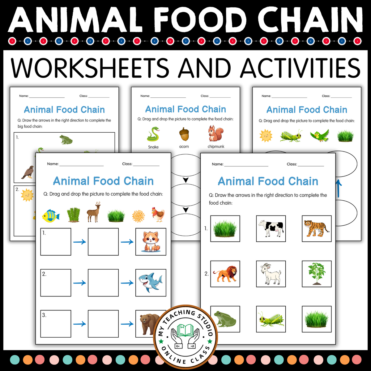Printable Animals Food Chain Activity Worksheets For Grade 1 2 3 Teaching Resources