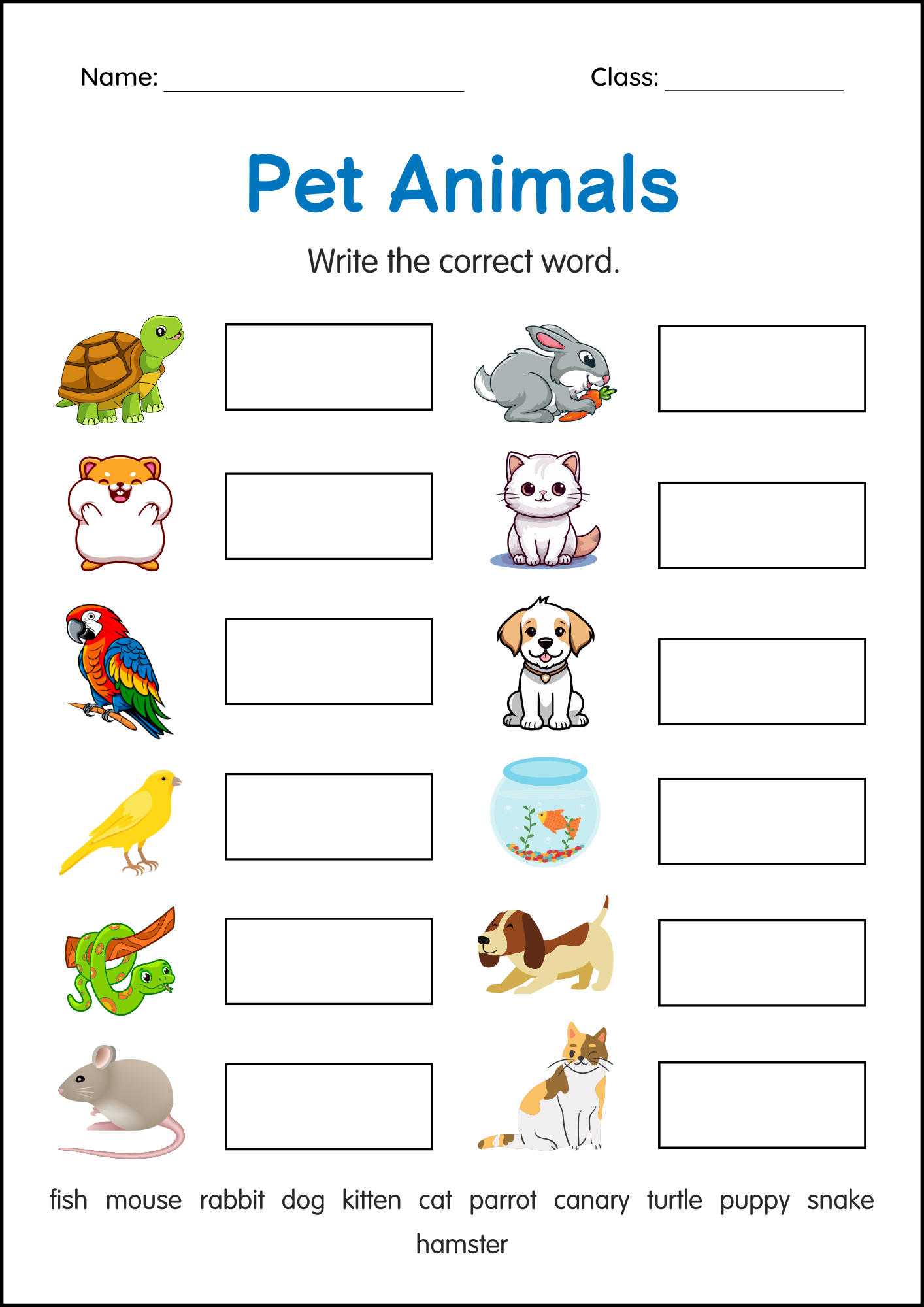 Printable Pets Animals Activity Worksheets For Grade 1 2 3 Made By Teachers Printable Pets Animals Activity Worksheets For Grade 1 2 3 Made By Teachers