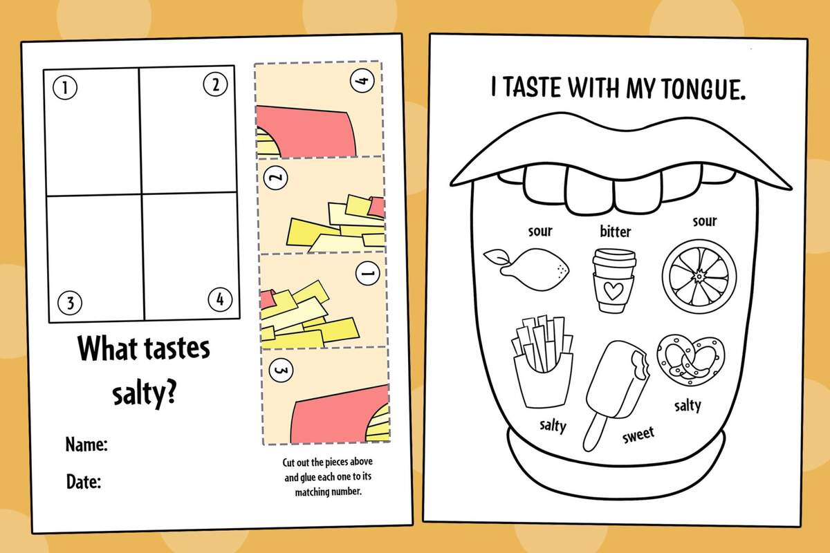 Sense Of Taste Worksheets For Preschool The Hollydog Blog