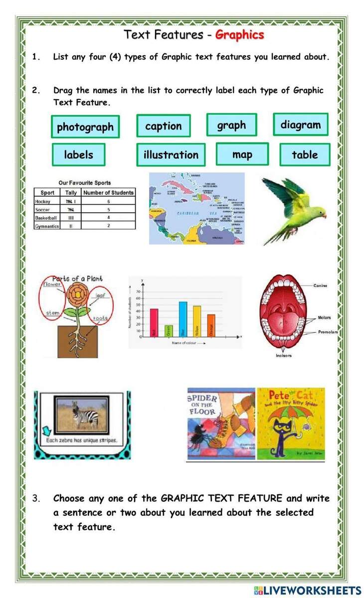 Text Features Worksheet Text Features Nonfiction Text Features Worksheets Library