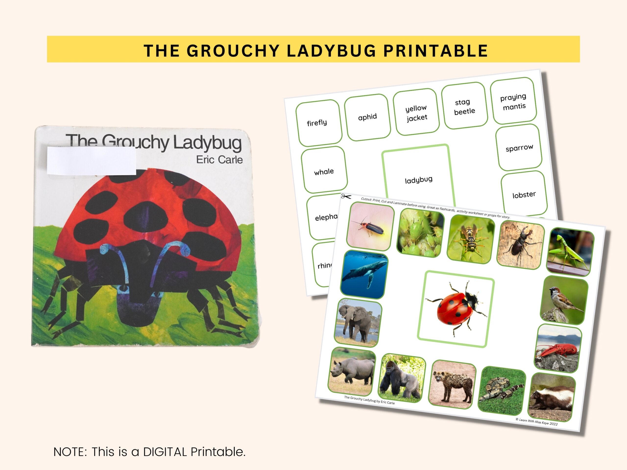 The Grouchy Ladybug Printable Worksheet Eric Carle Activity PDF Etsy The Grouchy Ladybug Printable Worksheet Eric Carle Activity PDF Etsy