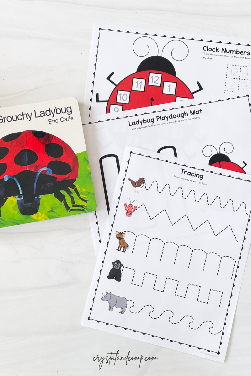The Grouchy Ladybug Printables CrystalandComp The Grouchy Ladybug Printable Worksheet Eric Carle Activity PDF Etsy
