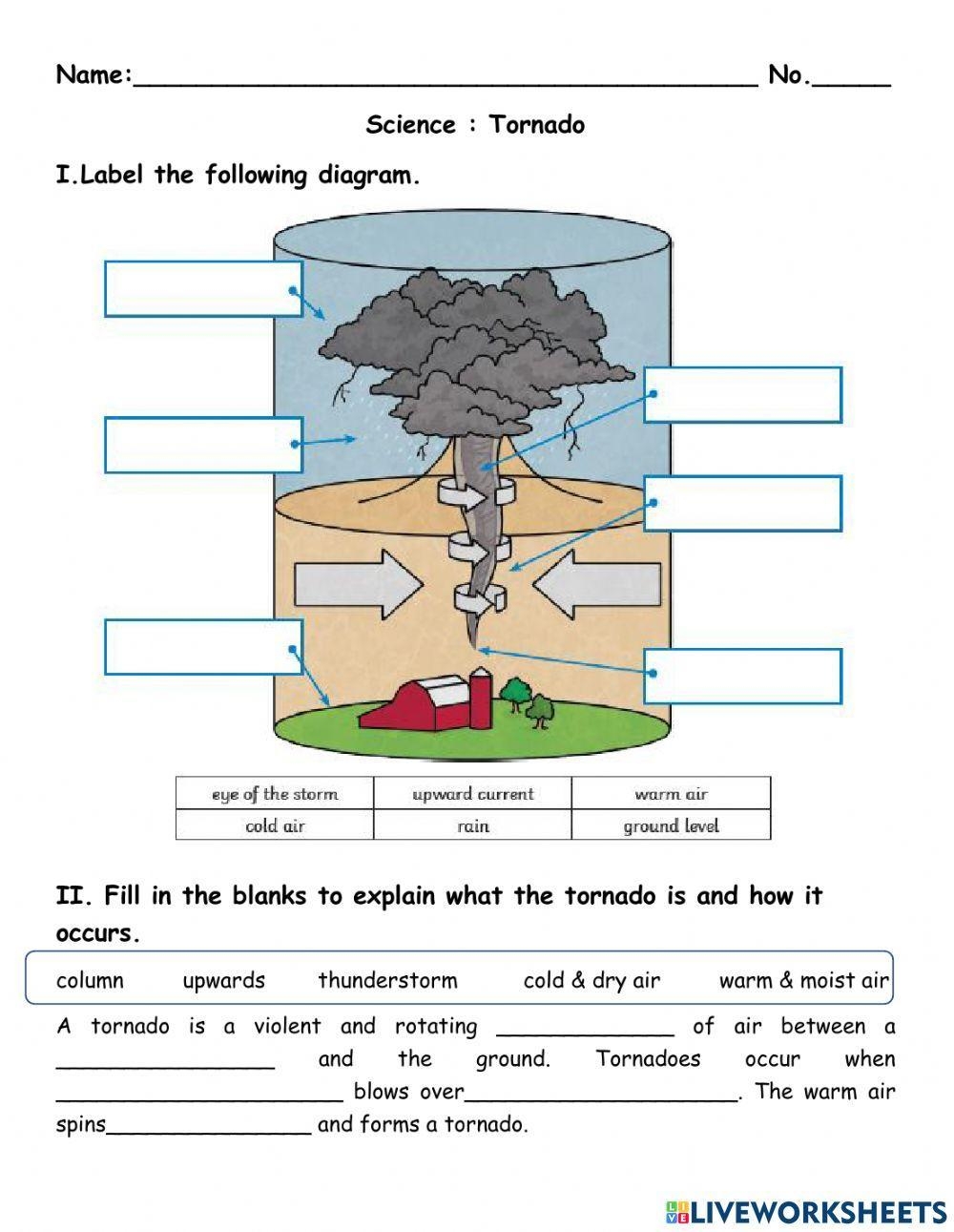 Tornado Facts Worksheets Information Key History For Kids Worksheets Library Tornado Facts Worksheets Information Key History For Kids Worksheets Library