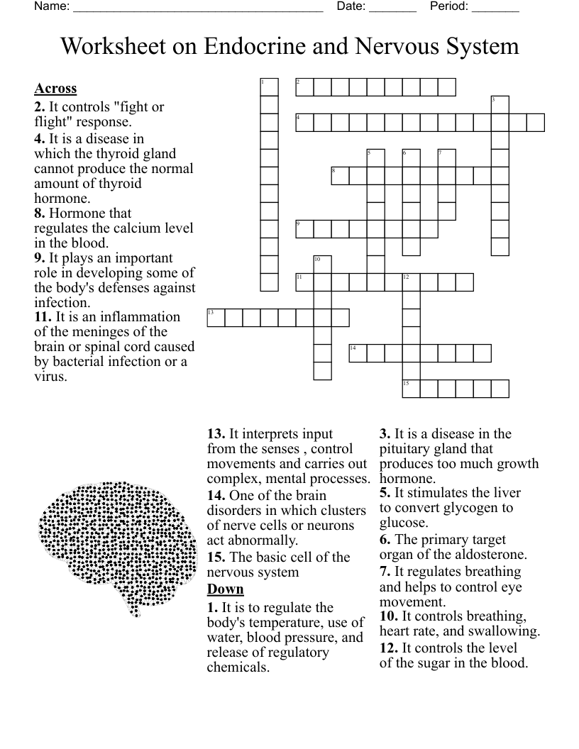 Worksheet On Endocrine And Nervous System Crossword WordMint Endocrine System Worksheet WordMint